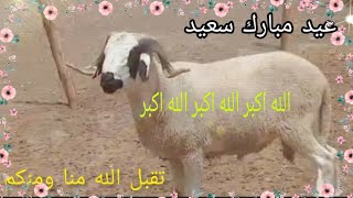 🌹تكبيرات العيد🌹