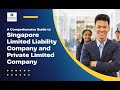 A comprehensive guide to singapore limited liability company and private limited company