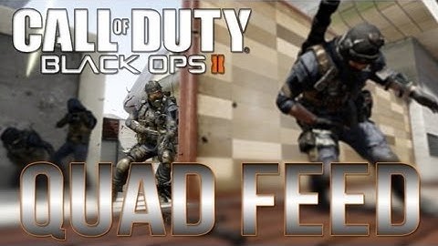 Quad Feed on Raid (BO 2)