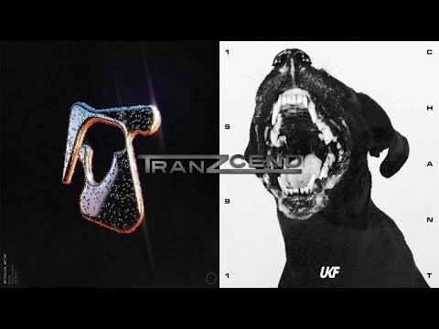 Original Don VS Chant - Sub Focus, Irah, Fireboy DML VS 1991 [TranZcend Blend]