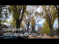 ASMR Walk 🎧 Fall Foliage Canadian Neighbourhoods Suburbs | Relaxing Sounds For Work Sleep