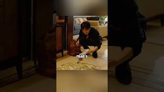 The man accidentally broke the flowerpot of the rich family and entered a scam.#shosts #film