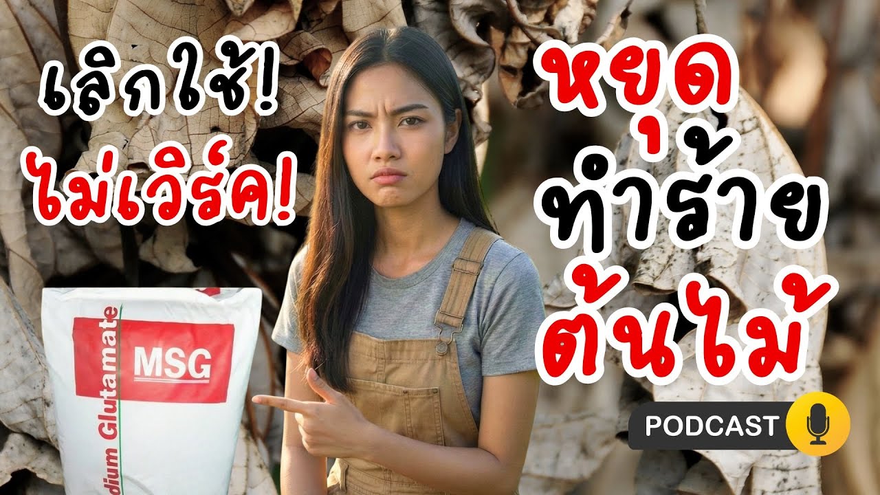 ผงชูรสใส่ต้นไม้ ดีจริงหรือจกตา? ✅❌