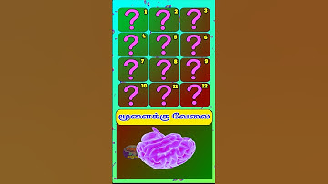 Brain Game 46|Tag Your Favorite Sweet #braingames #shorts #braintest #tamil #games #trendingshorts