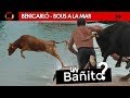 ASÍ SE BAÑAN LOS TOROS Y LAS VACAS 🤣💦 - [Benicarló] Bous a la Mar 23/08/2018