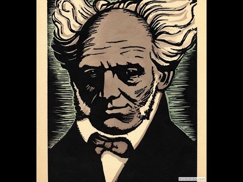 Vidéo: Schopenhauer Arthur: Biographie, Carrière, Vie Personnelle