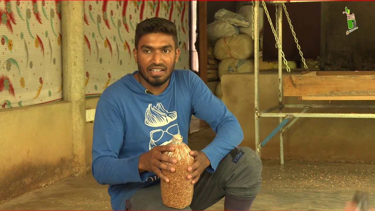 චමිලා බිම්මල්-Department Of Agriculture Sri lanka Krushi tv channel