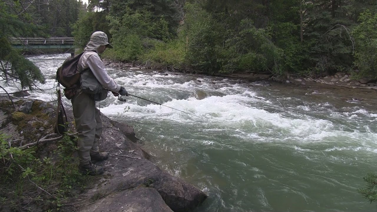 Fishing the Miette River, Alberta, Jasper NP YouTube