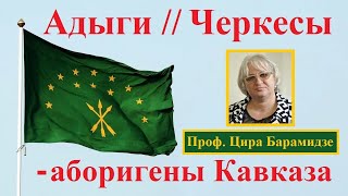 Адыги // Черкесы – аборигены Кавказа ● Профессор Цира Барамидзе об иберийско-кавказских языках [HD]