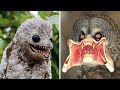 10 scariest birds you wish didnt exist