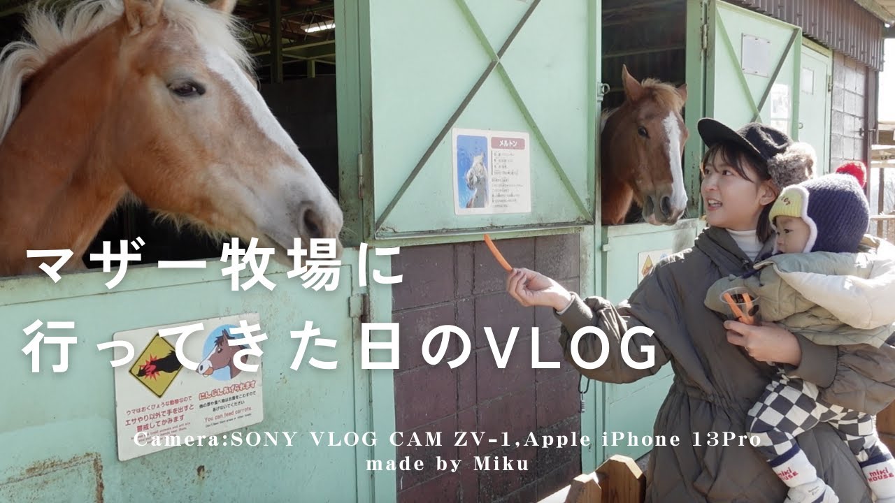 【1歳子連れ】冬のマザー牧場に行ってきた