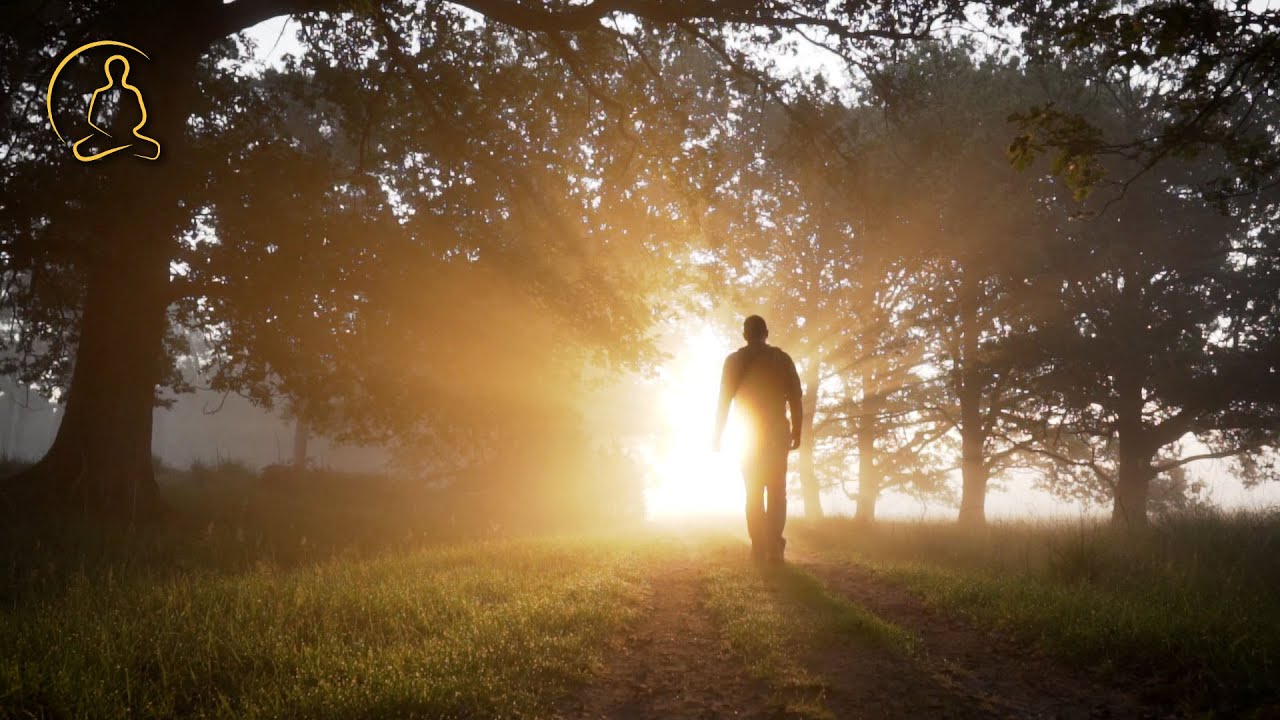 relax-and-unwind-with-1-hour-of-soothing-music-youtube