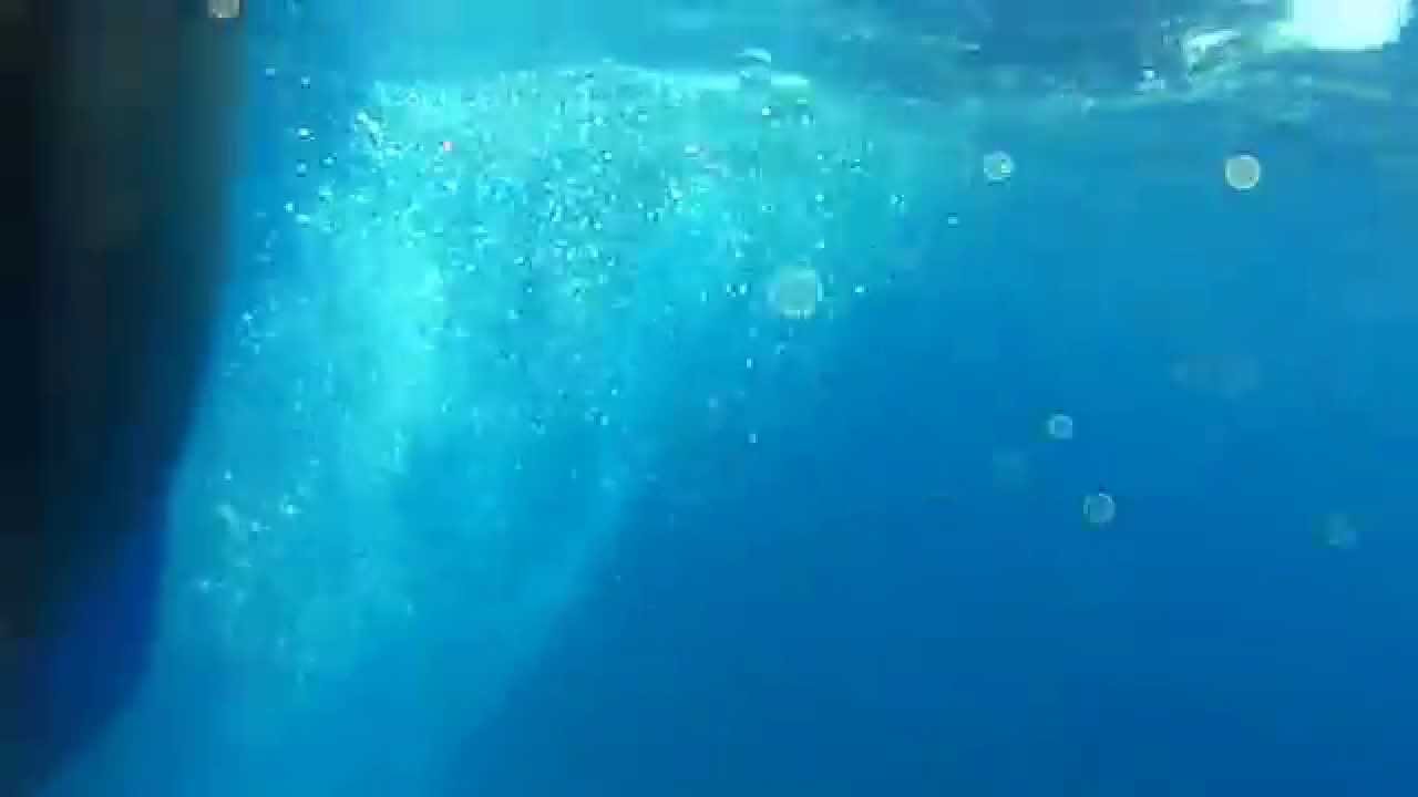 Cozumel dive Full Dive along a shelf drop off YouTube