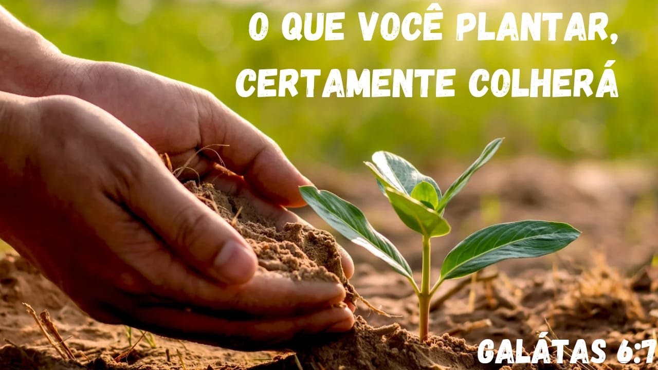 O que você plantar certamente colherá! - YouTube