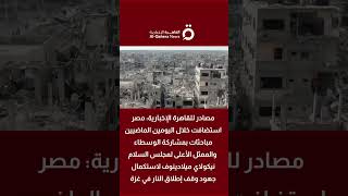 مصر تقود جهود التهدئة في غزة بمباحثات تضم الوسطاء ونيكولاي ميلادينوف الممثل السامي لمجلس السلام