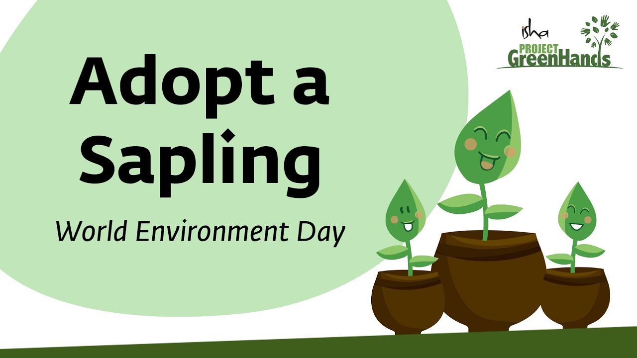 adopt a sapling this world environment day for just rs 100 project greenhands
