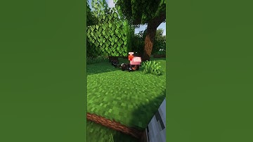 Tasmanian Devils in Minecraft! #shorts #minecraft