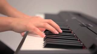 Yamaha P 255 Overview