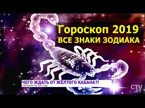 Год Желтой Свиньи. Гороскоп на 2019 год по каждому знаку зодиака