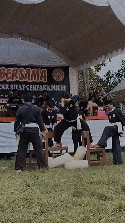 atraksi #cempakaputih