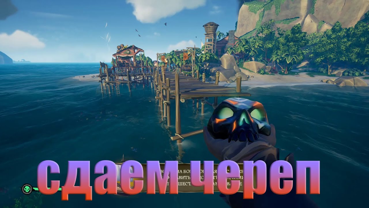 куда сдавать череп сирены