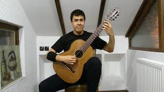 carlo domeniconi- variations on an anatolian folk song