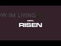 Abxl  risen official visualiser