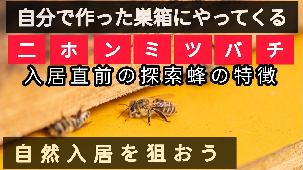 在豆瓣上解读青春与时代的交织