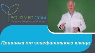 Прививка от энцефалитного клеща: эффективность, правила вакцинации, побочные действия