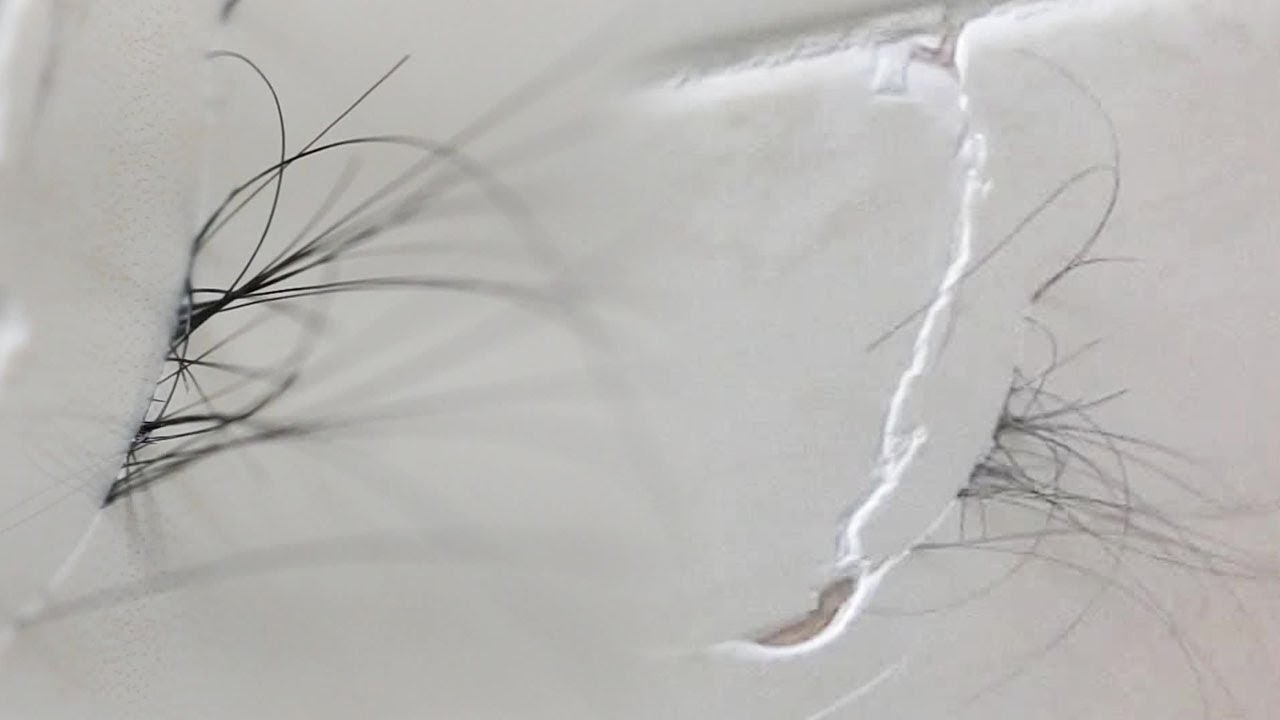 욕실 벽을 뚫고 나온 미스터리 검은