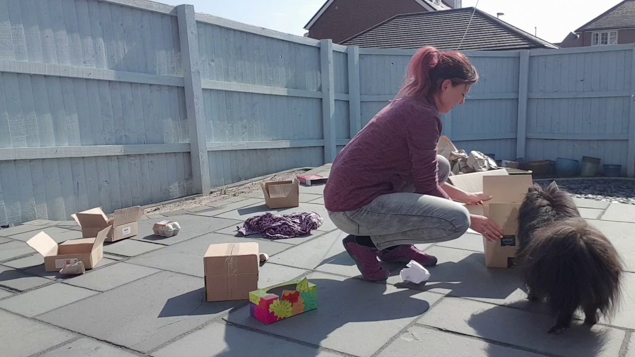 Scent game with Billy