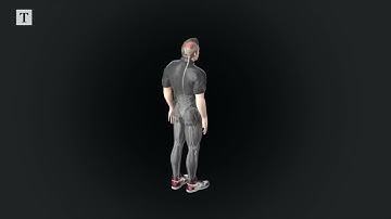 A.I. Helps Paralyzed Man Walk Again!