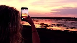 Celebrity Kakadu: stop guessing, start doing Profile