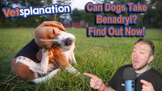 Is Benadryl Safe for Your Dog? Vet Explains Dosage and Risks! It Is Okay To Give My Pets Tylenol Or Benadryl Pet Harmony Ask A Vet