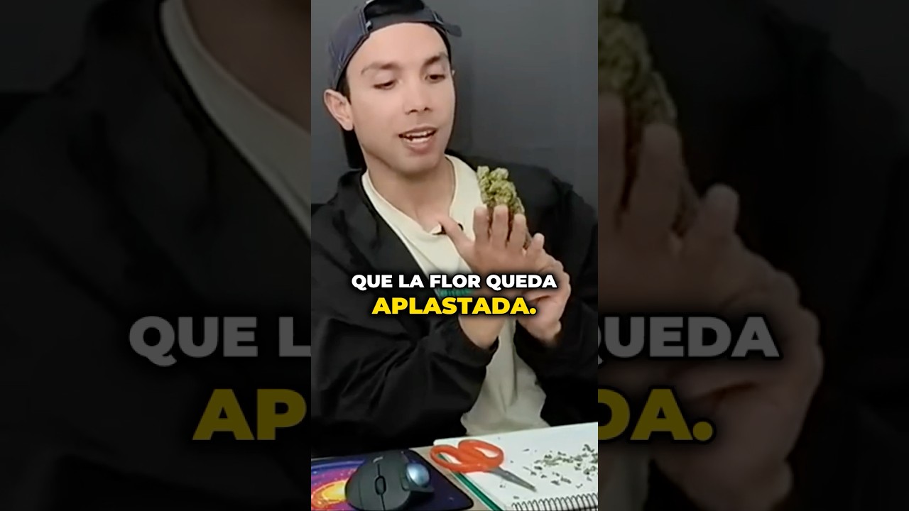 Cómo Seco mi Cosecha?