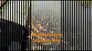 Instrumen Gending Jawa Penenang Hati, Adem Ayem banget.