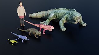 Iguana Size comparison #animation #animals