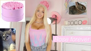 (Life Update) New Pets!  Rose Forever Review