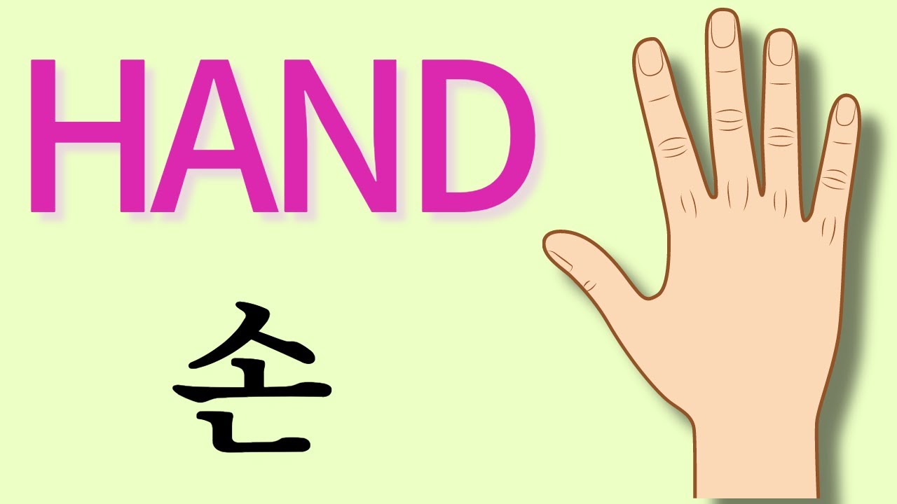 Parts of the Hand in Korean 韓国語 coréen coreano das Koreanisch Hàn ngữ