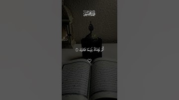 #قران_كريم #سورة_الضحى #احمد_العجمي #قرآن #quran