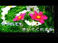 男の純情.五木ひろし唄.再興翻唱。