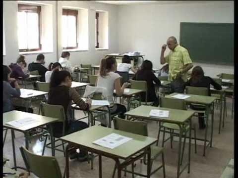 Selectividad 2010 - Manzanares