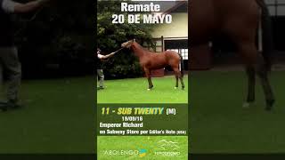 11 - SUB TWENTY (M-Z) EMPEROR RICHARD - SUBWAY STORE por EDITOR'S NOTE (USA)