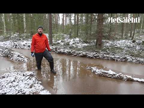 Video: Miten kantavuus voi laskea?