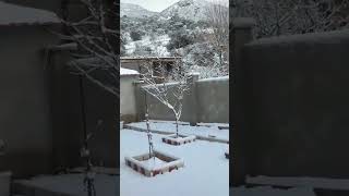 neige en kabylie #algerie aujourd'hui ثلوج أعالي جرجرة تيزي وزو #new #météo #snow #ثلوج