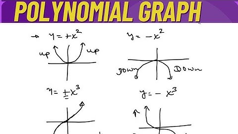 How to graph Polynomial Functions Amharic Math tutor