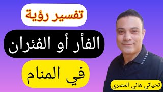 تفسير ودلالات رؤية الفئران في المنام/رؤيةالفأرفي المنام