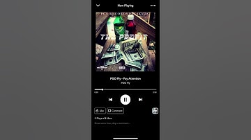 PGO Fly - Pay Attention [Official Audio]