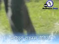 Nitish-Sandle-Madhepura