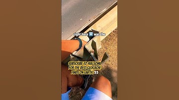 Have you ever been looking for the completely wrong type of container before? Happens to us all! 😅